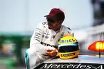 Foto zur News: Lewis Hamilton (Mercedes)