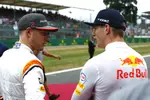 Foto zur News: Stoffel Vandoorne (McLaren) und Max Verstappen (Red Bull)