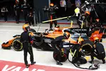 Foto zur News: Stoffel Vandoorne (McLaren)