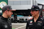 Foto zur News: Stoffel Vandoorne (McLaren) und Max Verstappen (Red Bull)