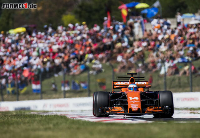 Foto zur News: Fernando Alonso bekommt die besten Noten für seine Leistung in Ungarn. Jetzt durch die 17 besten Fotos des Rennens klicken!