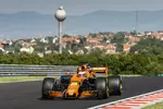 Foto zur News: Stoffel Vandoorne (McLaren)