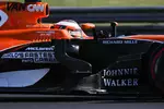 Foto zur News: Stoffel Vandoorne (McLaren)