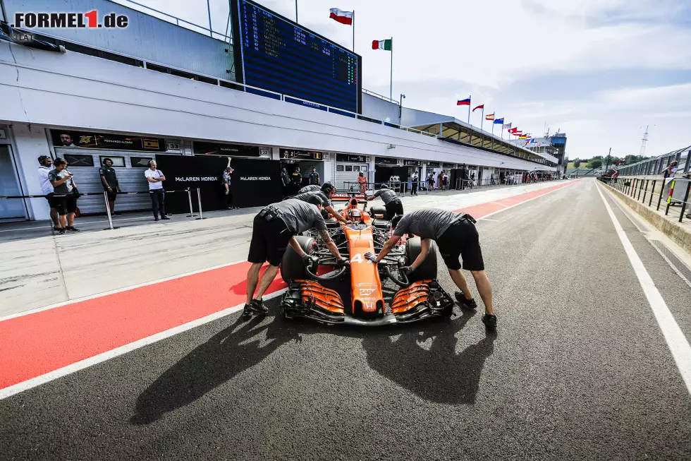 Foto zur News: Lando Norris