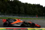 Foto zur News: Stoffel Vandoorne (McLaren)