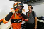 Foto zur News: Stoffel Vandoorne (McLaren)