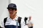 Foto zur News: Lance Stroll (Williams)