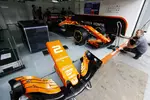 Foto zur News: Stoffel Vandoorne (McLaren)