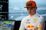 Foto zur News: Max Verstappen (Red Bull)