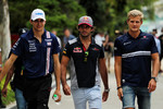 Foto zur News: Esteban Ocon (Force India), Carlos Sainz (Toro Rosso) und Marcus Ericsson (Sauber)
