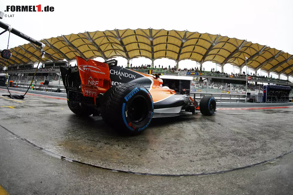 Foto zur News: Stoffel Vandoorne (McLaren)