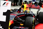 Foto zur News: Max Verstappen (Red Bull)