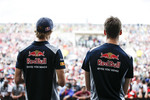 Foto zur News: Daniil Kwjat (Toro Rosso) und Brendon Hartley (Toro Rosso)
