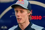 Foto zur News: Brendon Hartley (Toro Rosso)