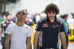 Foto zur News: Pierre Gasly (Toro Rosso)