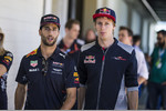 Foto zur News: Daniel Ricciardo (Red Bull) und Brendon Hartley (Toro Rosso)
