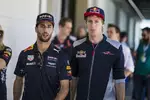 Foto zur News: Daniel Ricciardo (Red Bull) und Brendon Hartley (Toro Rosso)