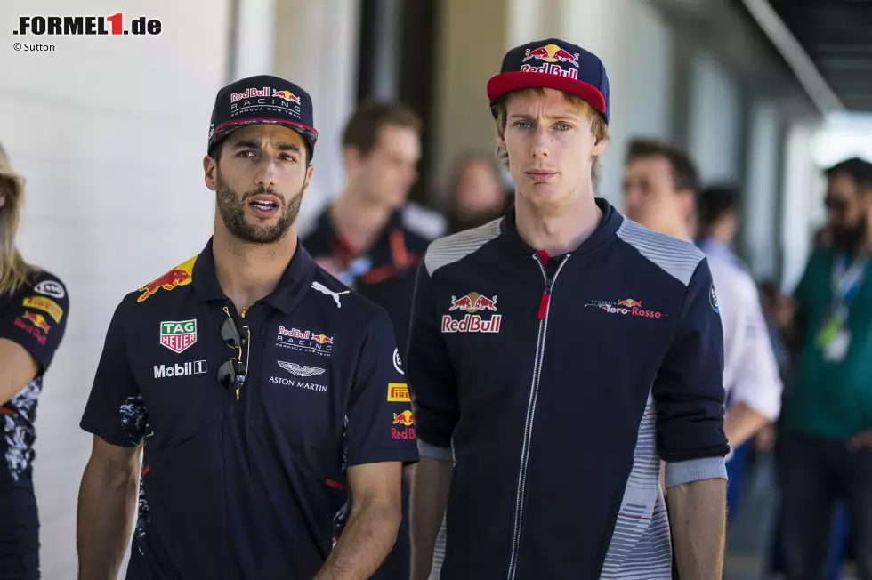 Foto zur News: Daniel Ricciardo (Red Bull) und Brendon Hartley (Toro Rosso)