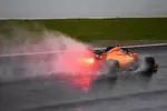 Foto zur News: Fernando Alonso (McLaren)