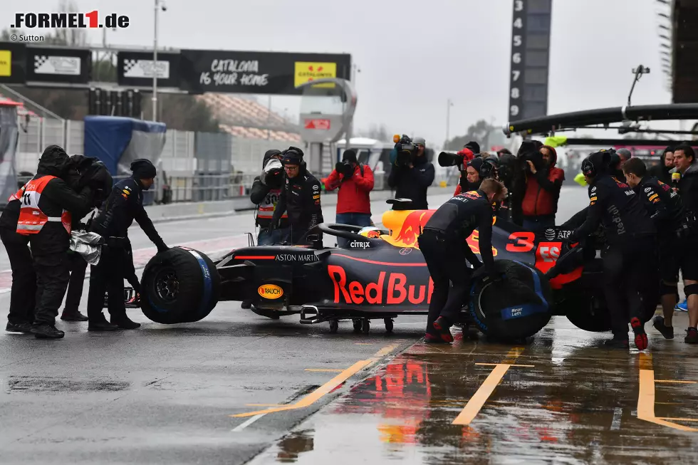 Foto zur News: Daniel Ricciardo (Red Bull)