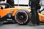 Foto zur News: Stoffel Vandoorne (McLaren)