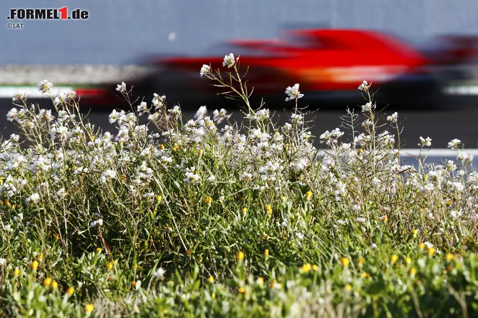 Foto zur News: Sebastian Vettel (Ferrari)