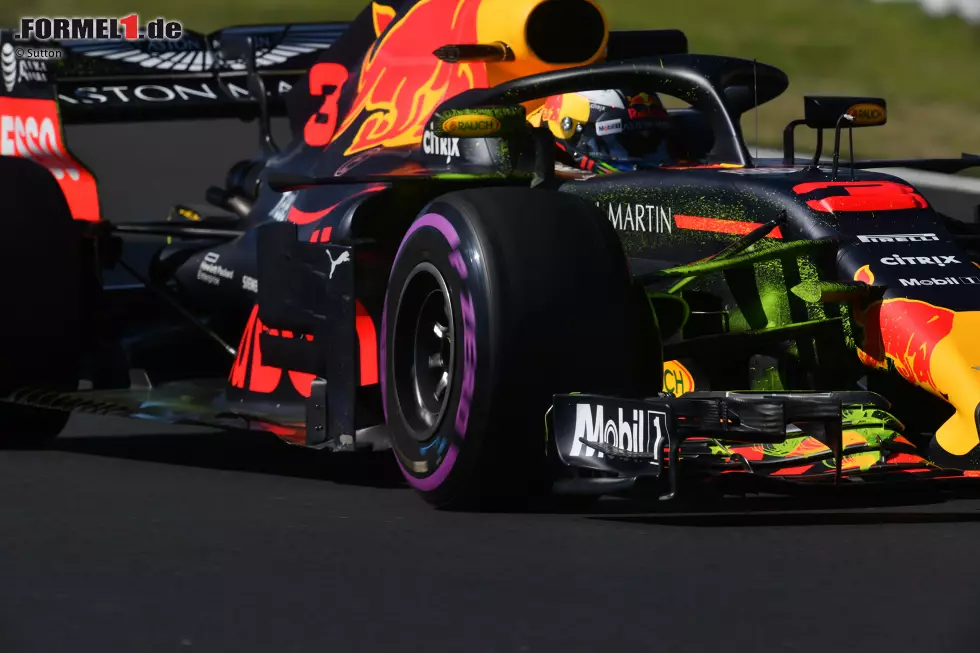 Foto zur News: Daniel Ricciardo (Red Bull)