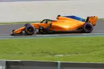 Foto zur News: Stoffel Vandoorne (McLaren)