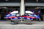 Foto zur News: Pierre Gasly (Toro Rosso) und Brendon Hartley (Toro Rosso)