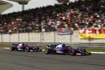 Foto zur News: Brendon Hartley (Toro Rosso) und Pierre Gasly (Toro Rosso)