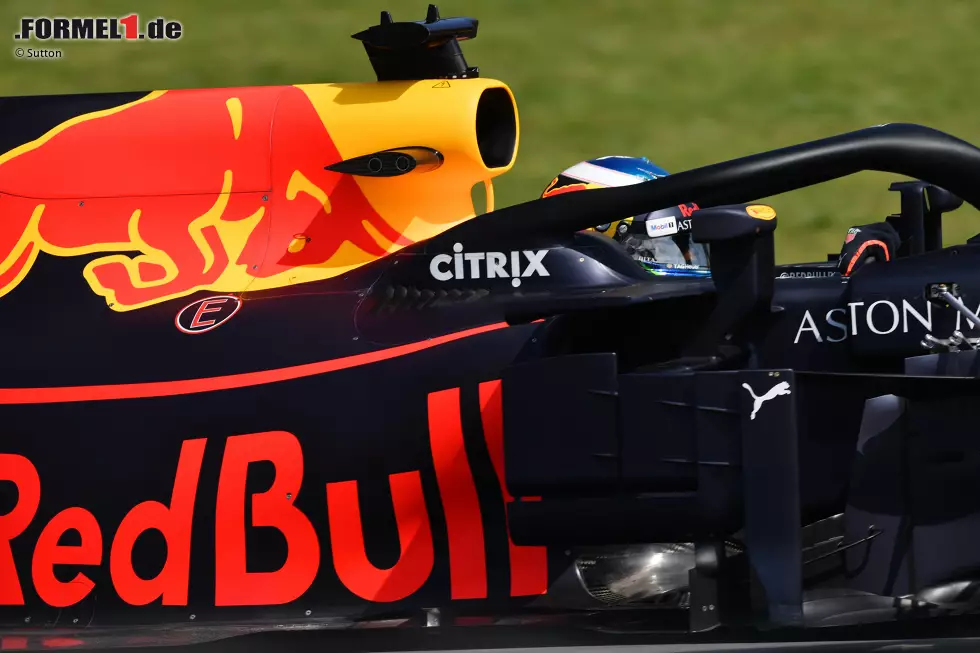 Foto zur News: Daniel Ricciardo (Red Bull)