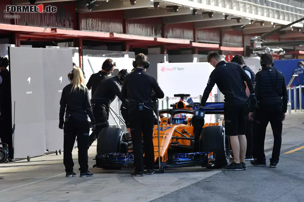 Foto zur News: Lando Norris