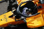 Foto zur News: Fernando Alonso (McLaren)