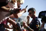 Foto zur News: Daniel Ricciardo (Red Bull)