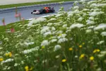 Foto zur News: Max Verstappen (Red Bull)