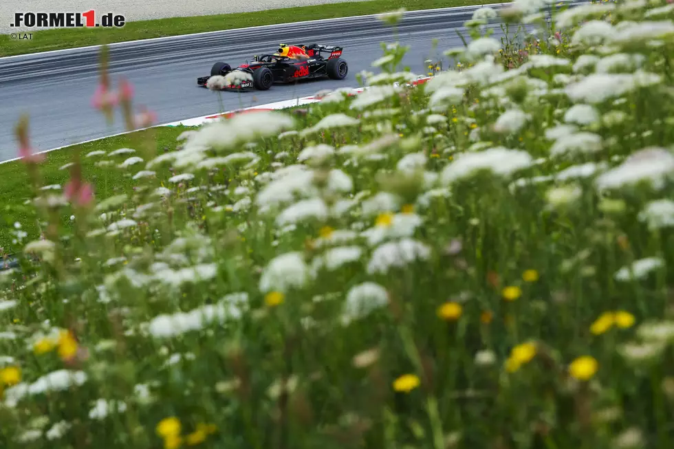 Foto zur News: Max Verstappen (Red Bull)