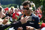 Foto zur News: Daniel Ricciardo (Red Bull)