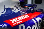 Foto zur News: Toro Rosso Honda