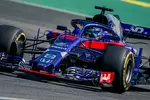 Foto zur News: Brendon Hartley (Toro Rosso)