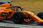 Foto zur News: Stoffel Vandoorne (McLaren)