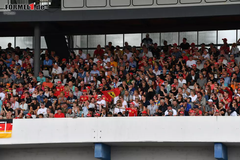 Foto zur News: Fans in Hockenheim