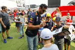 Foto zur News: Daniel Ricciardo (Red Bull) und Romain Grosjean (Haas)