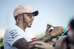 Foto zur News: Lewis Hamilton (Mercedes)