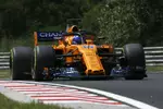 Foto zur News: Fernando Alonso (McLaren)