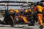 Foto zur News: Stoffel Vandoorne (McLaren)