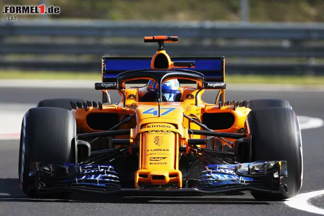 Foto zur News: Lando Norris