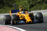 Foto zur News: Lando Norris