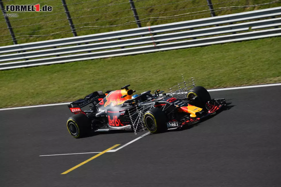 Foto zur News: Daniel Ricciardo (Red Bull)