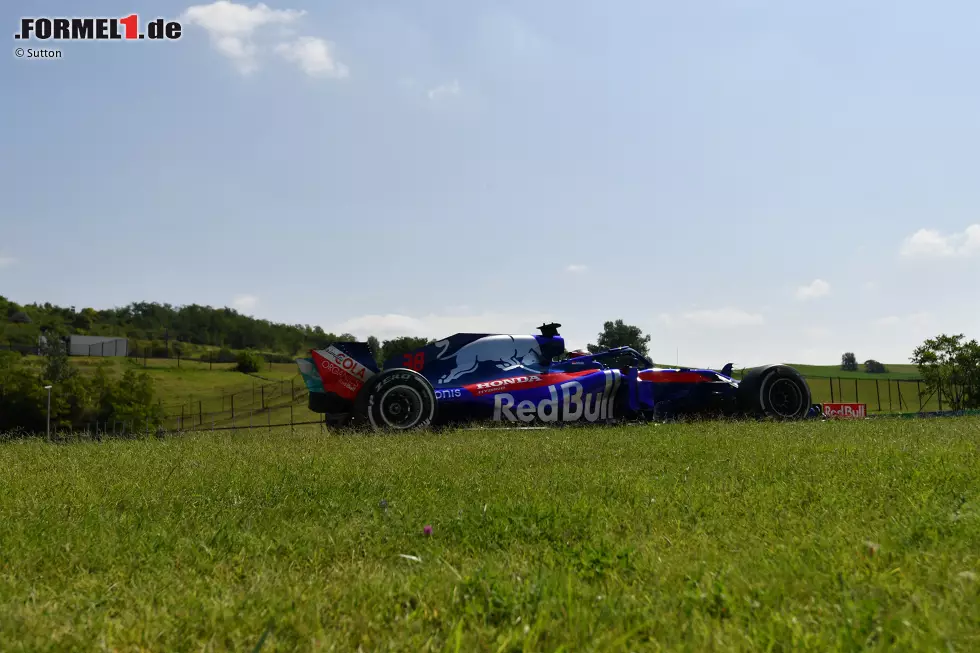 Foto zur News: Sean Gelael (Toro Rosso)