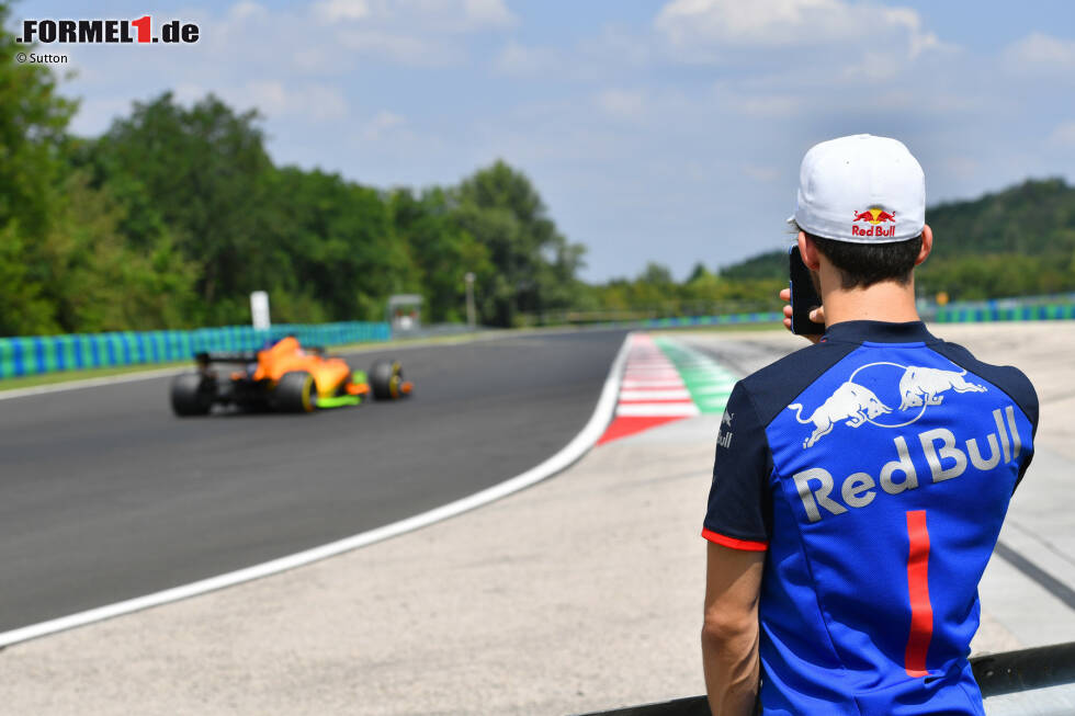 Foto zur News: Pierre Gasly (Toro Rosso) und Lando Norris (McLaren)